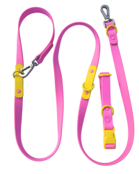 Fritz Collar + Leash Walk Set