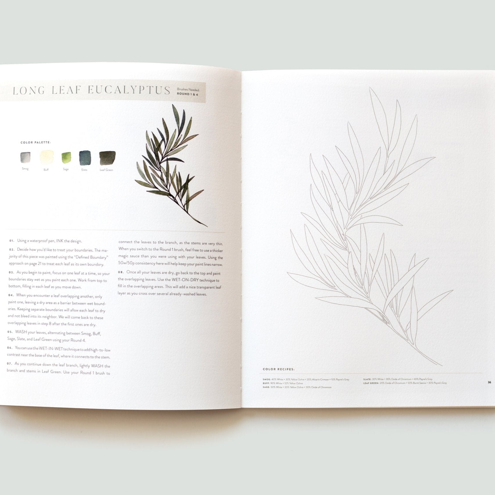 Watercolor Workbook