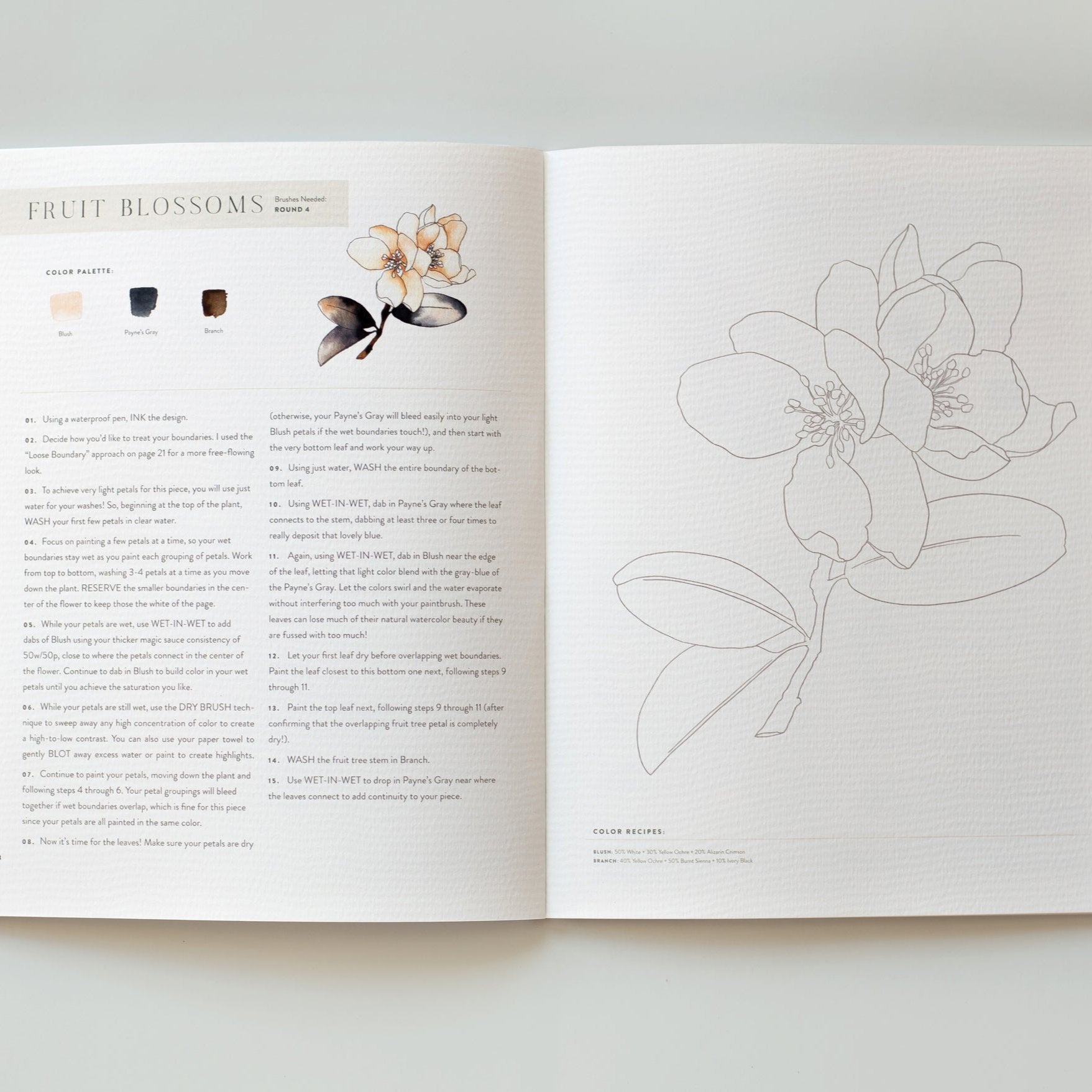 Watercolor Workbook