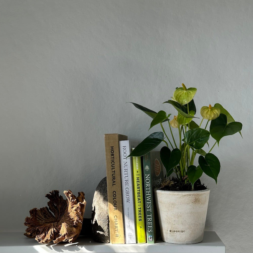 Basic Planter, White Patina