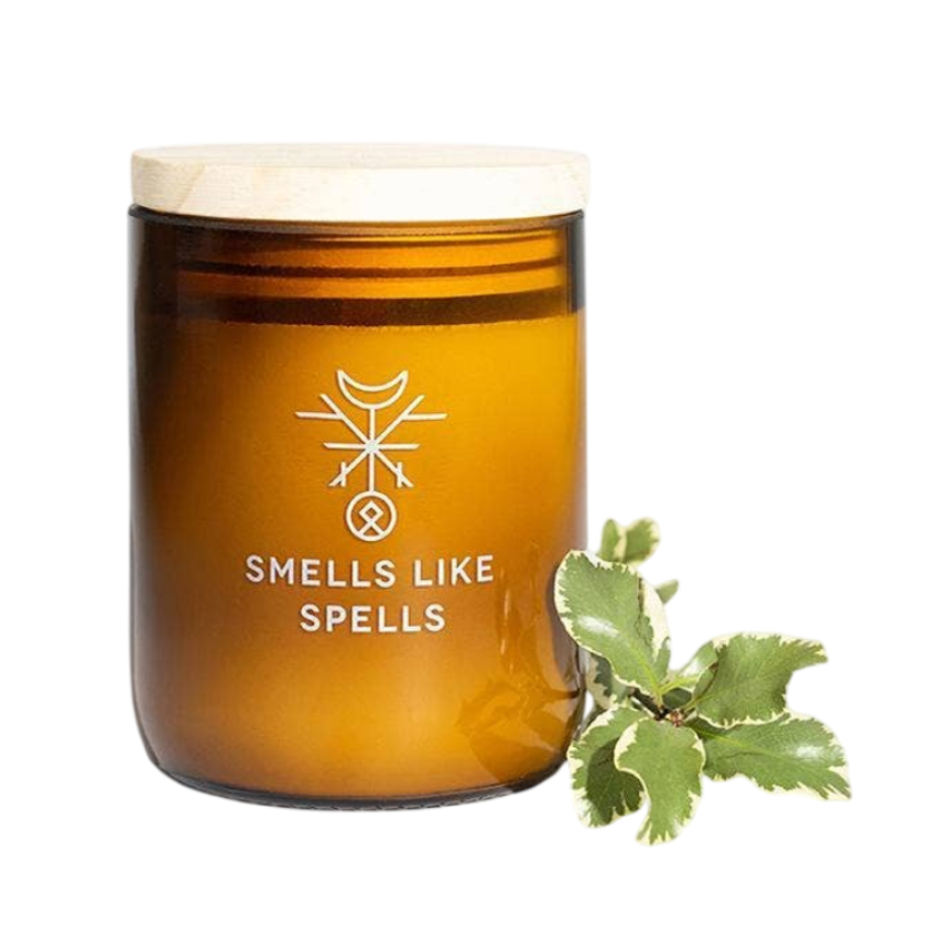 Mimir | Scented Jar Candle | Norse Magic | Clarity