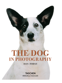 The Dog in Photography 1839–Today (German, French, English)