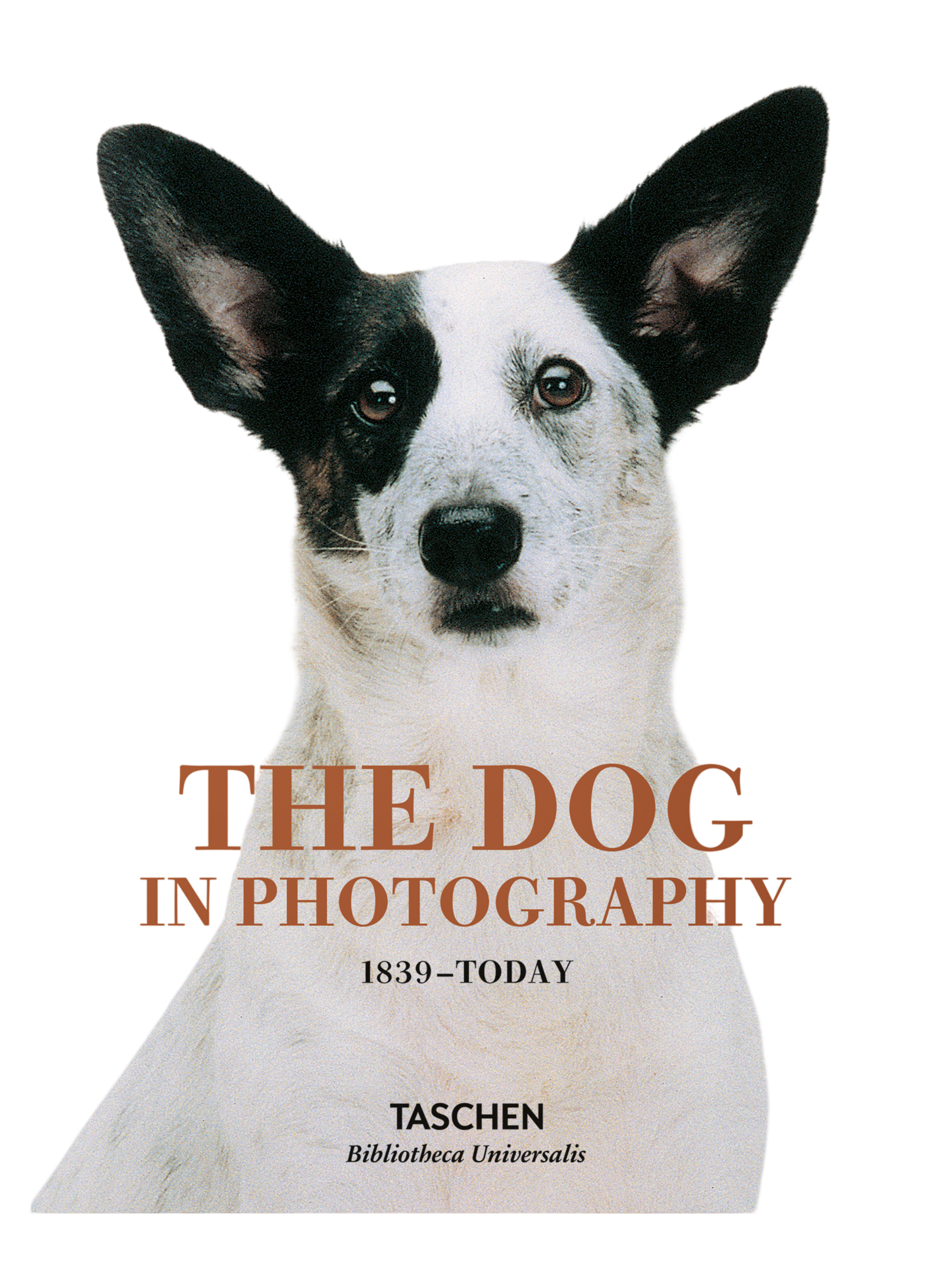The Dog in Photography 1839–Today (German, French, English)