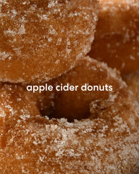 Apple Picking in the Hudson Valley