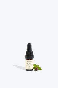 Vanilla Essential Oil | Smells Like Spells