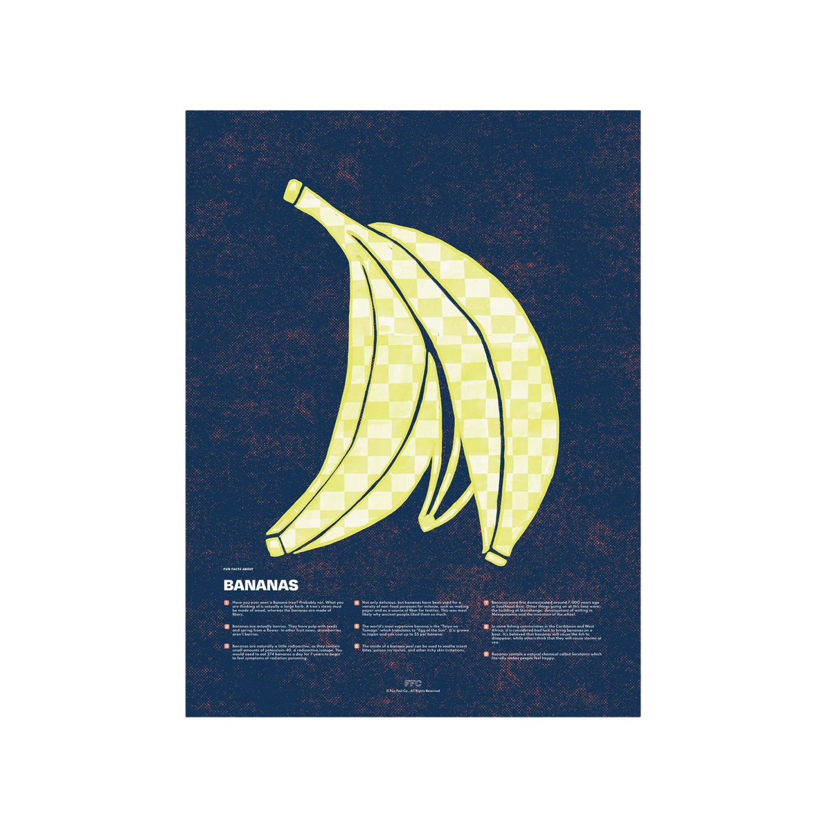 Banana Fun Facts Print