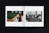 Stanley Kubrick's The Shining (English)
