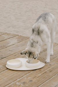 Bubble Bowls & Mat Set For Dogs
