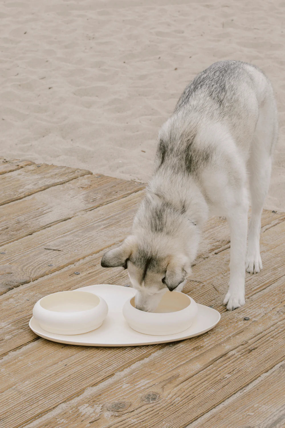 Bubble Bowls & Mat Set For Dogs