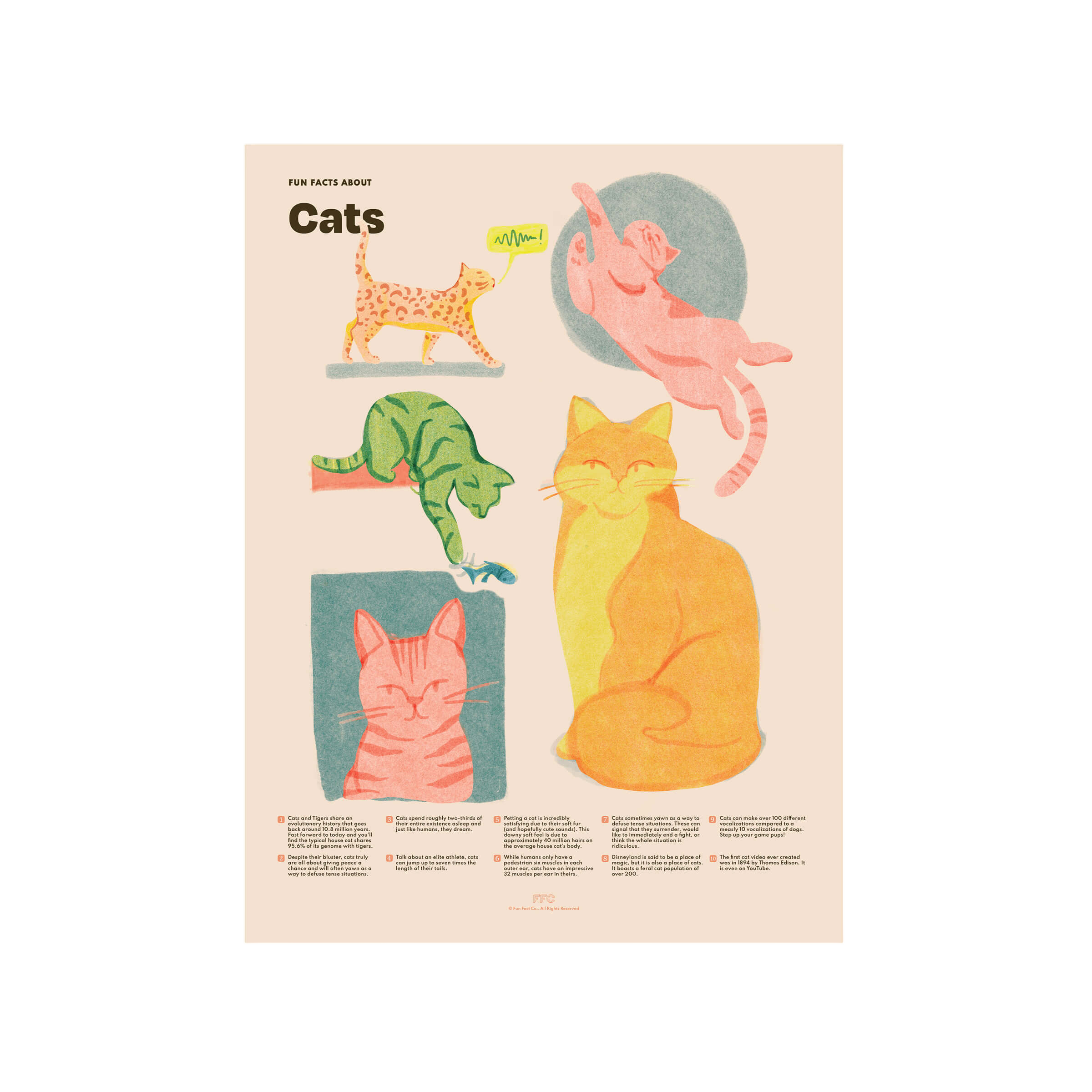 Cat Fun Facts Print