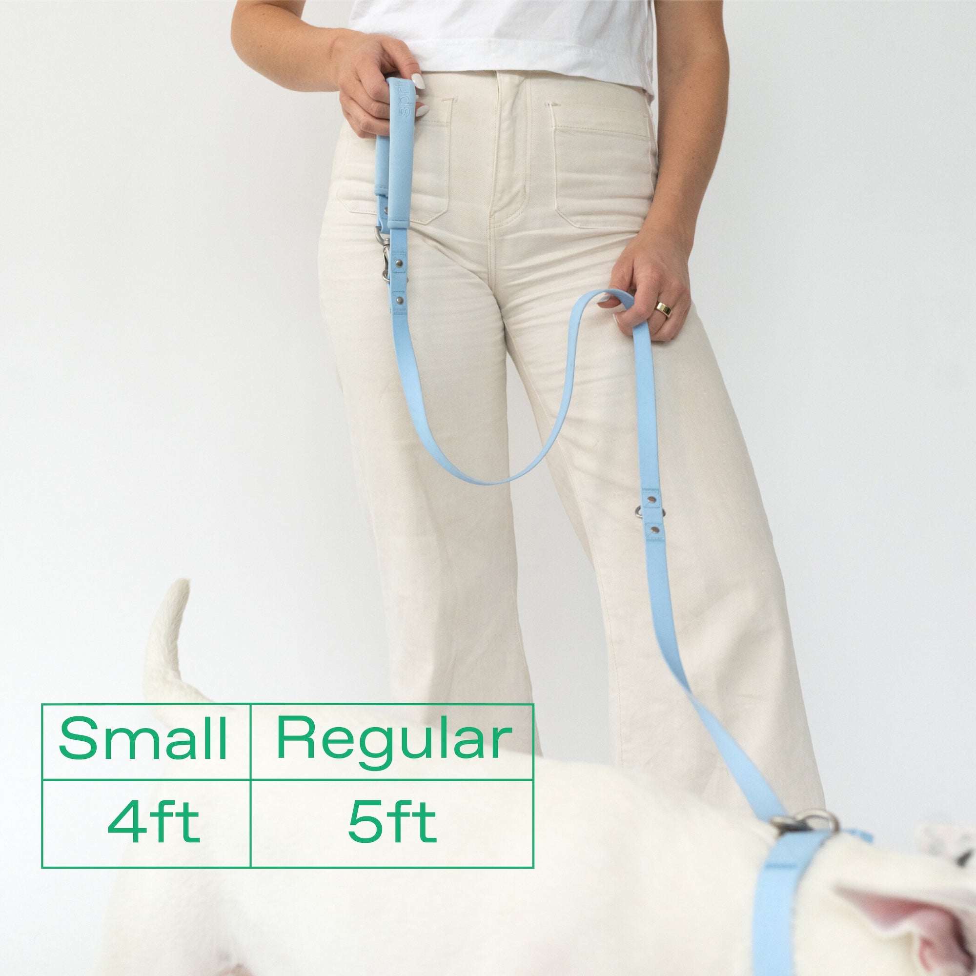 Original Dog Leash with Neoprene Handle - 5ft