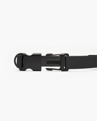 Signature Collar