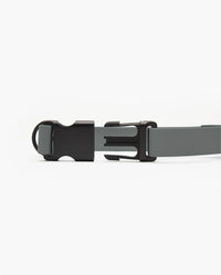 Signature Collar
