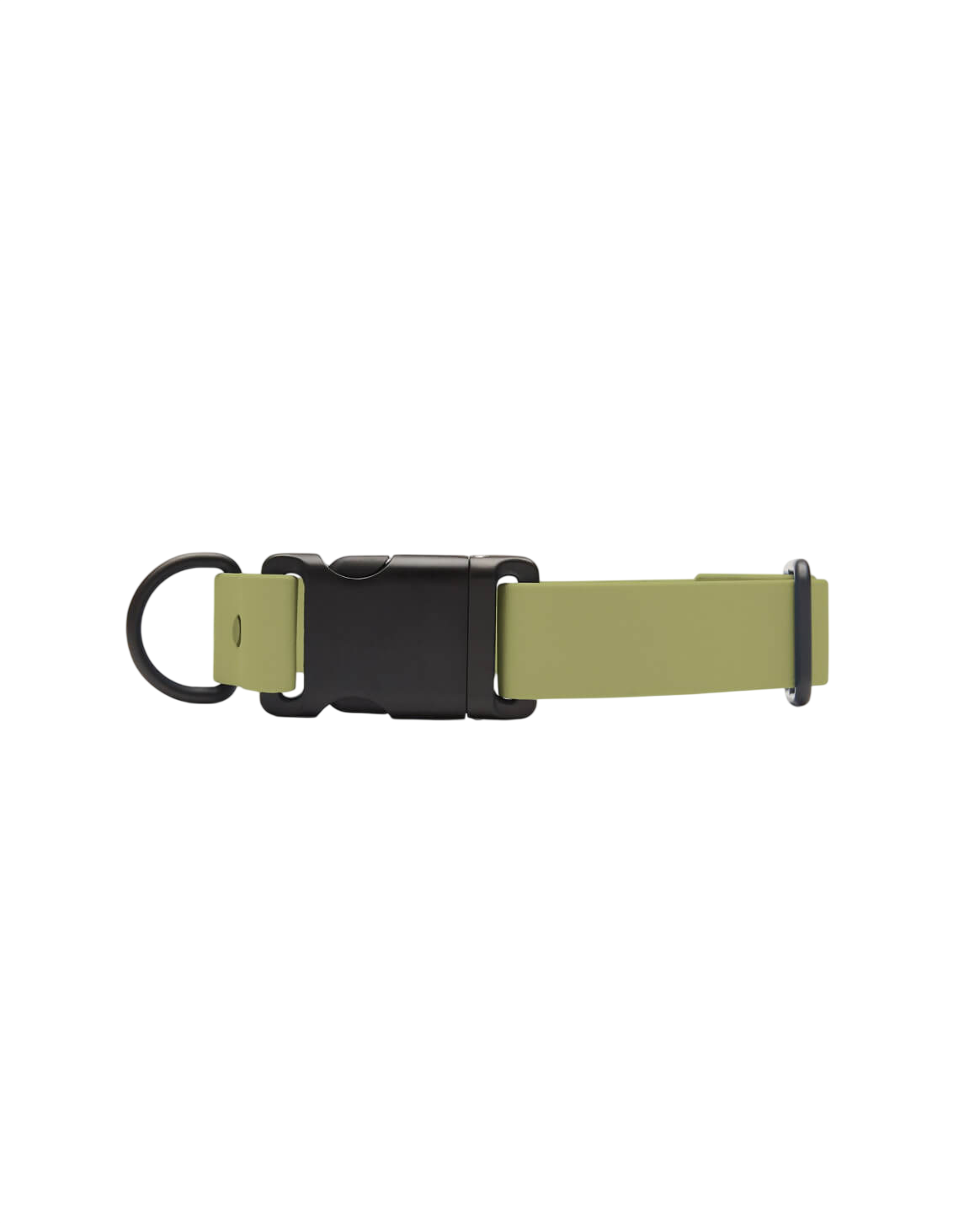 Signature Collar
