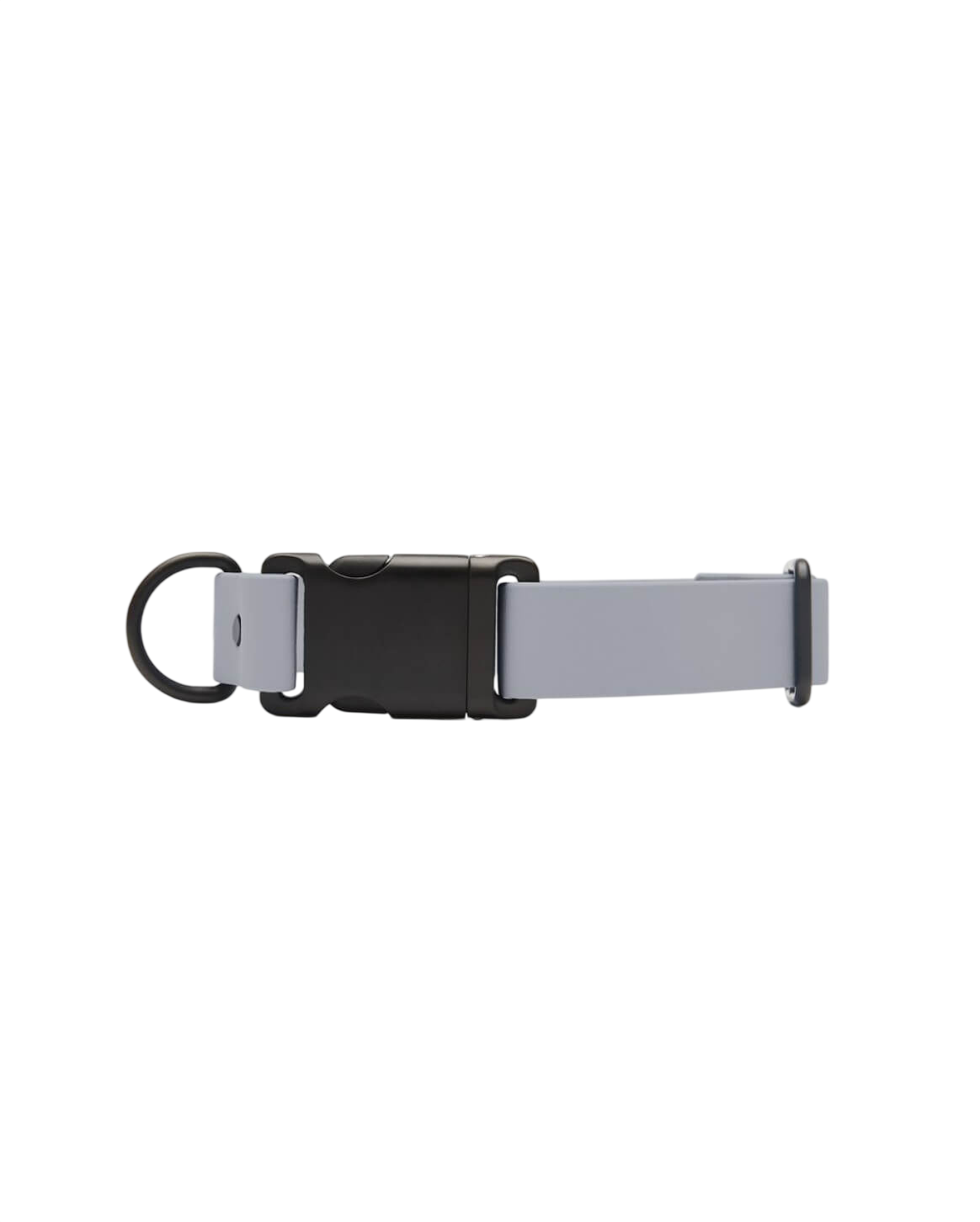 Signature Collar