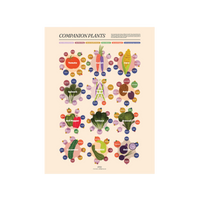 Companion Plants Print