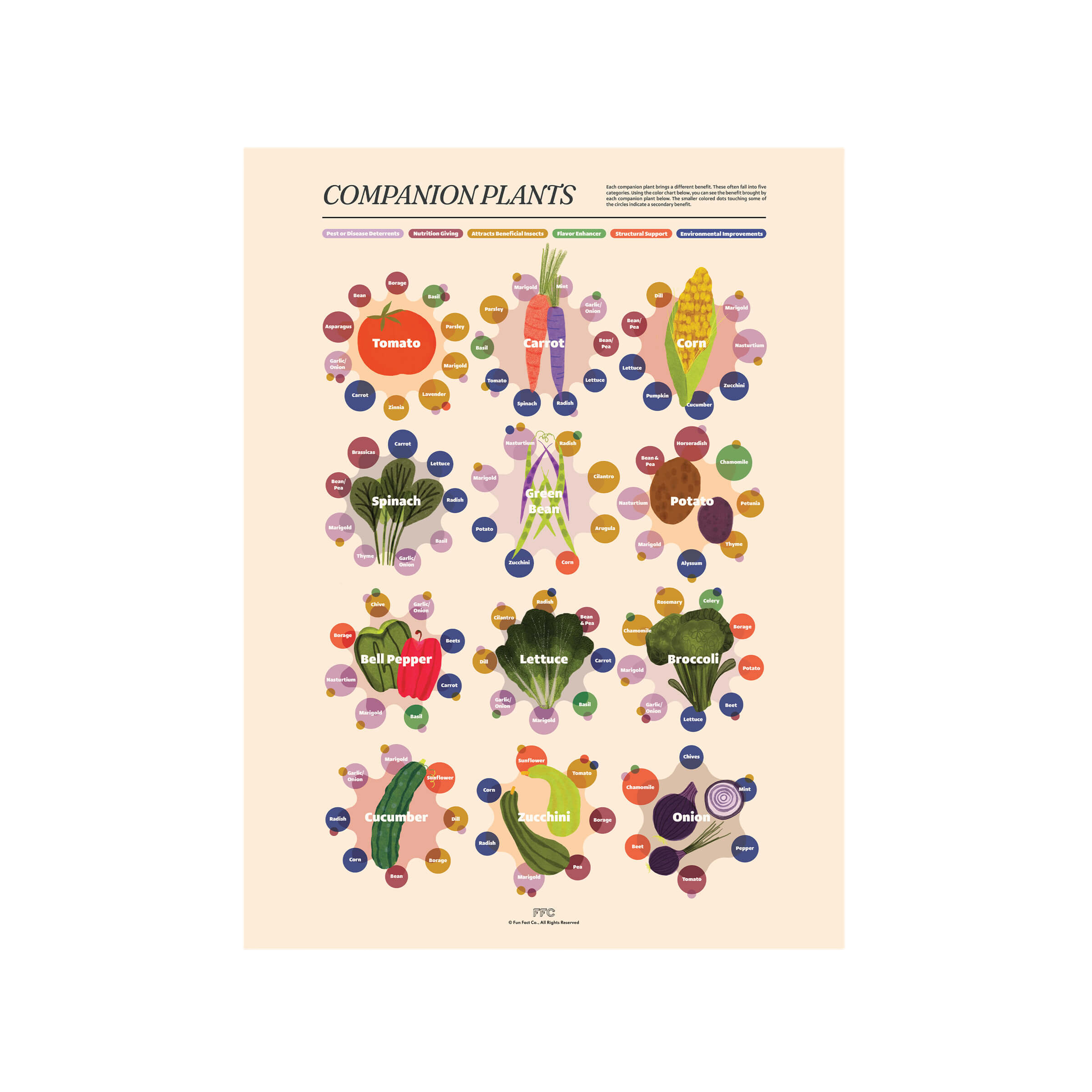 Companion Plants Print
