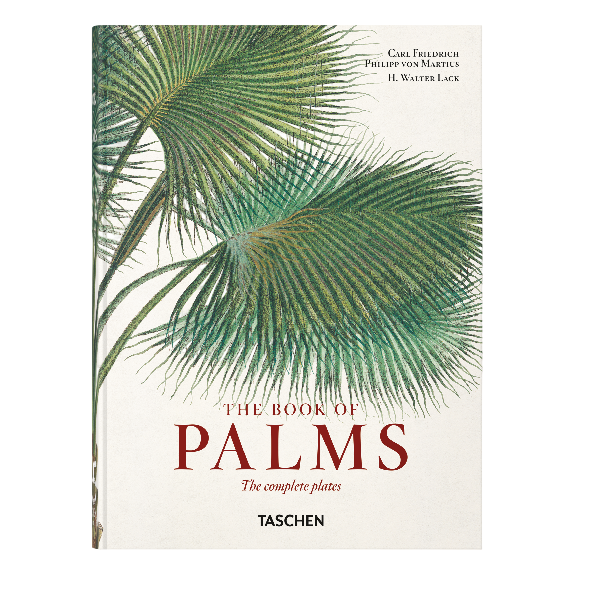 Martius. The Book of Palms. 45th Ed. (German, French, English)