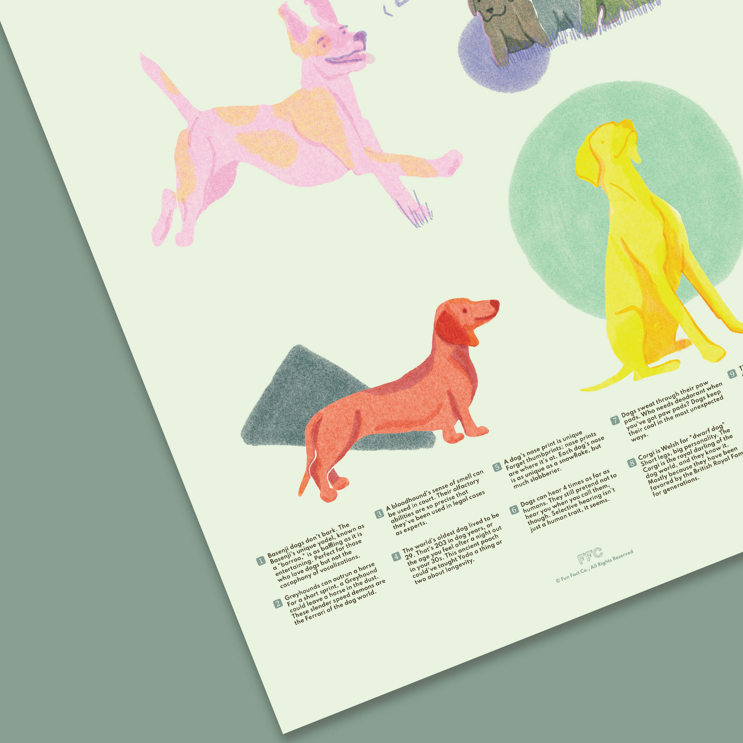Dog Fun Facts Print