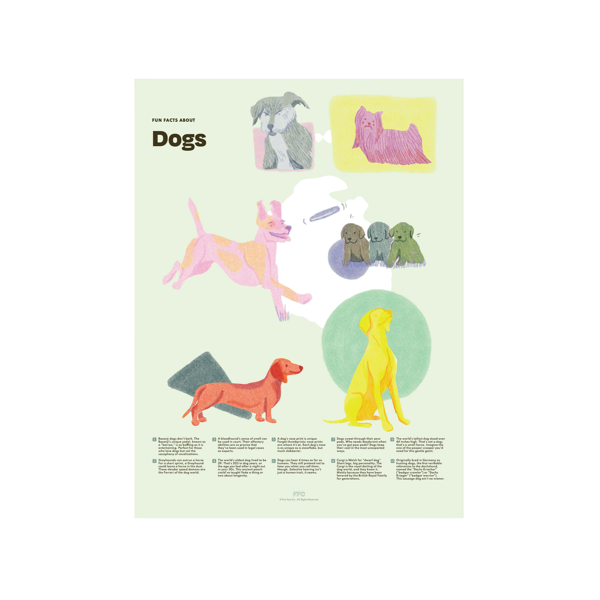 Dog Fun Facts Print