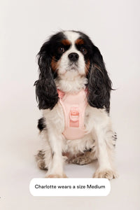 Easy Fit Dog Harness