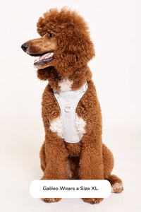 Easy Fit Dog Harness
