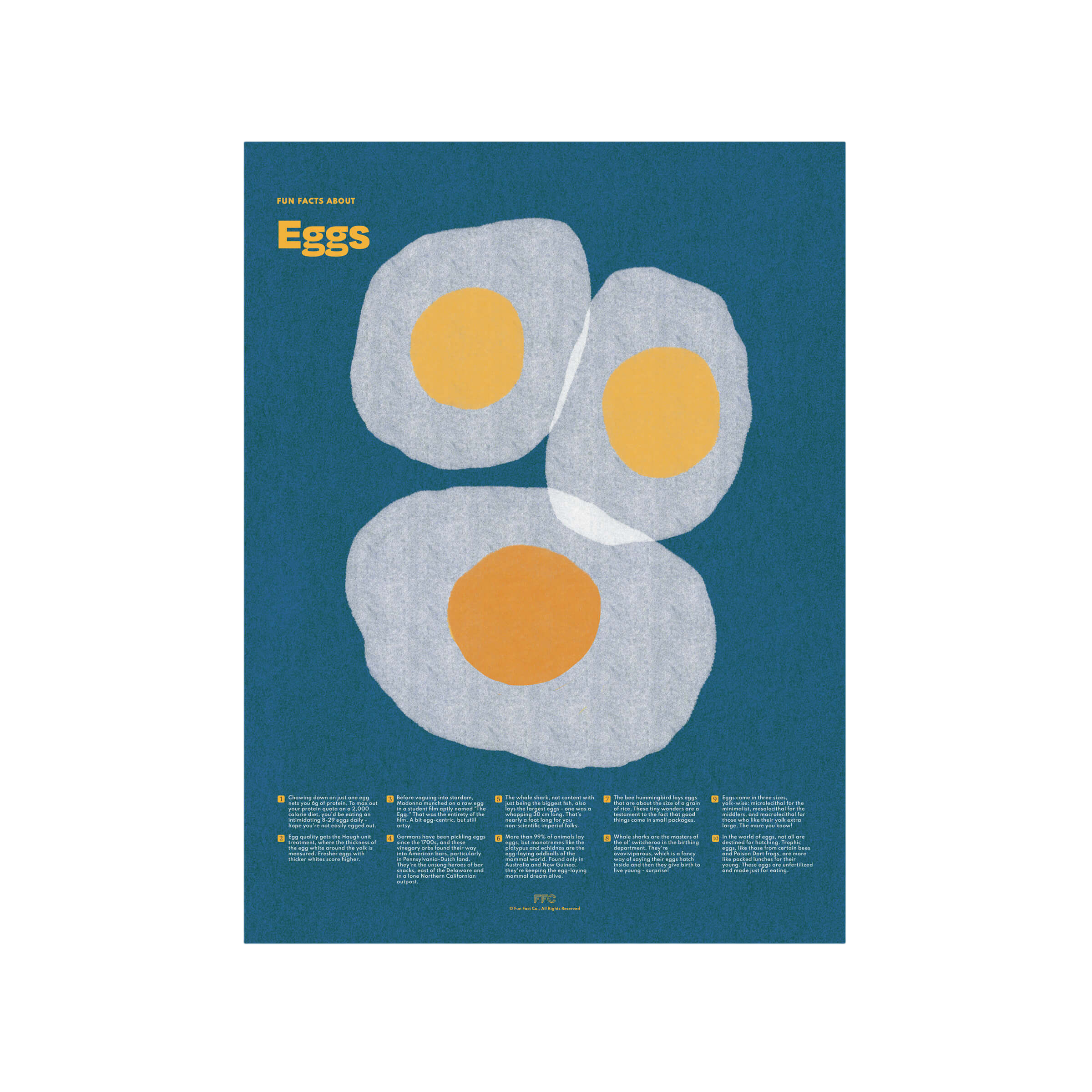 Egg Fun Facts Print
