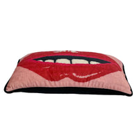 Embrasse Moi - Velvet Pillow