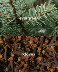 The Christmas Tree Guy
