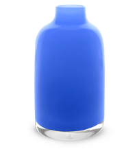 french blue bloomette