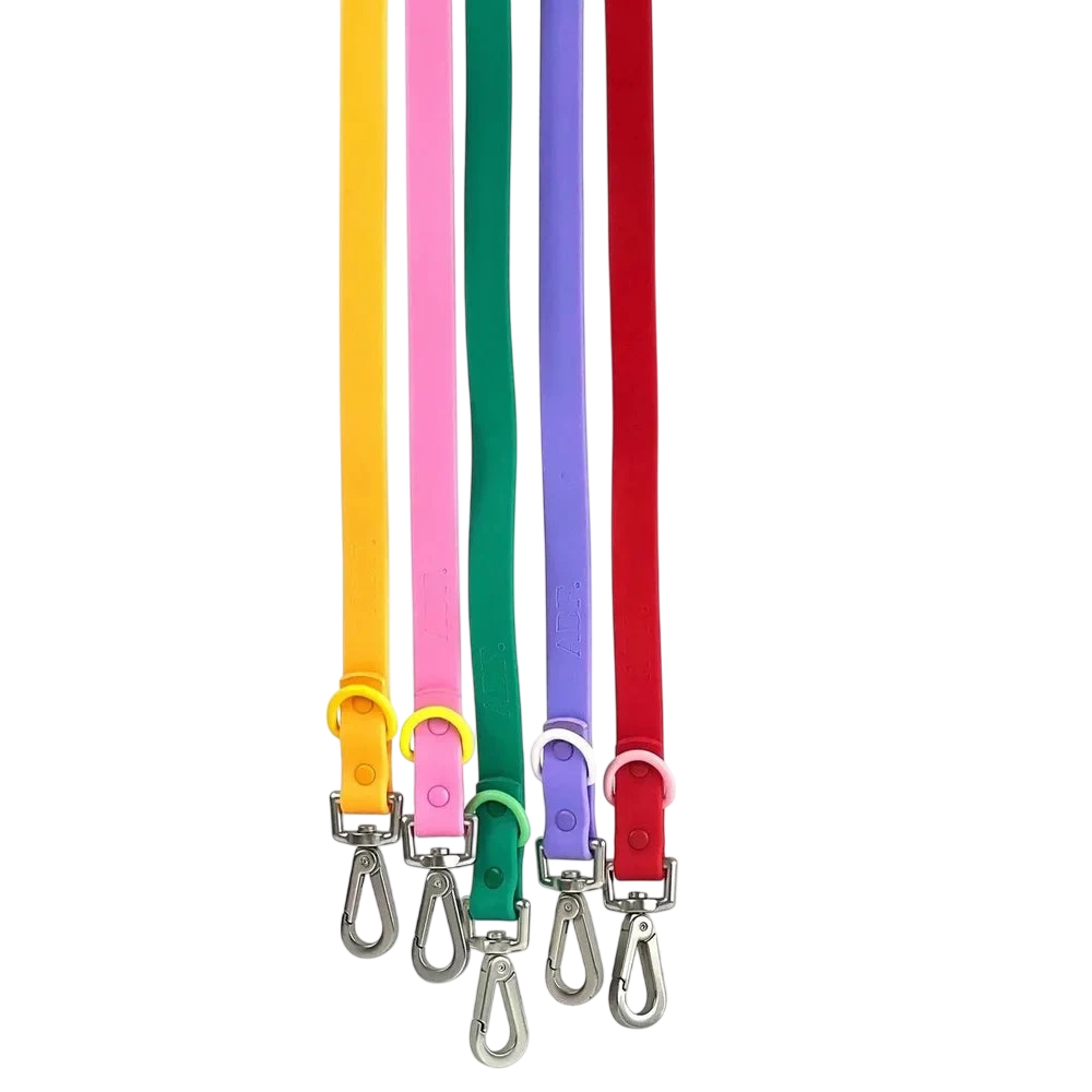 The Fritz Leash