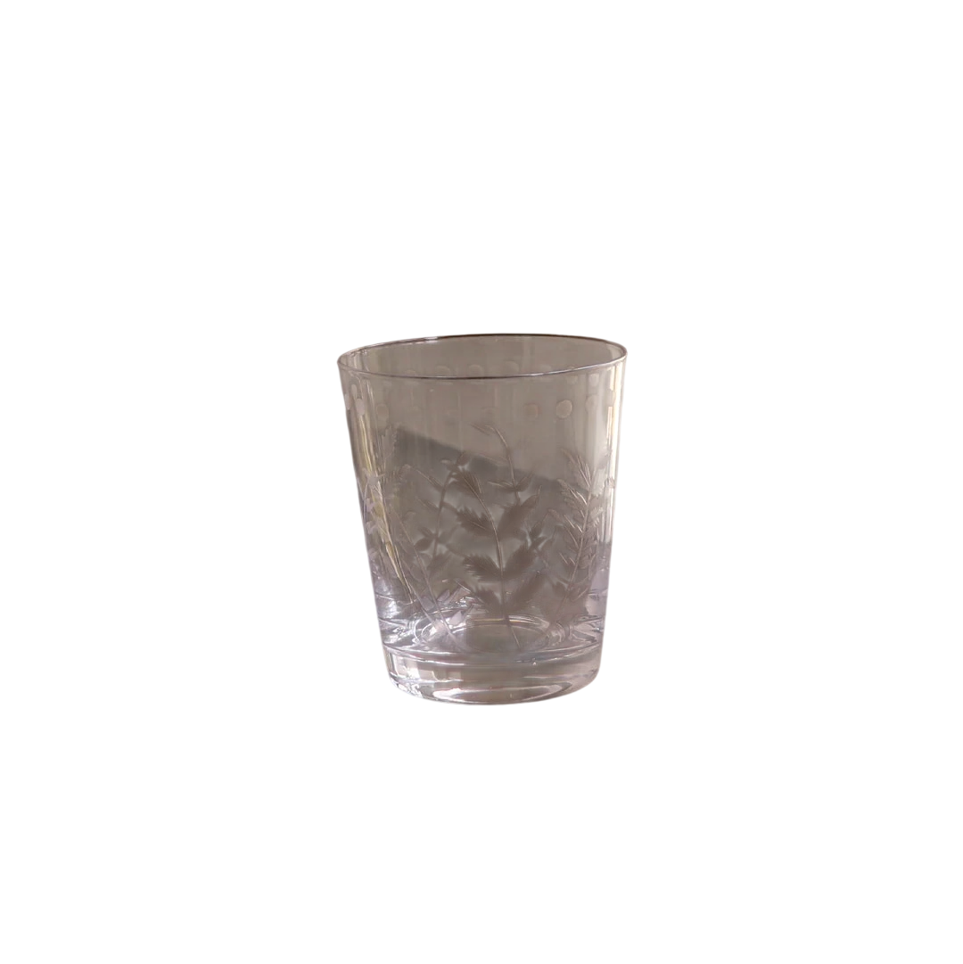 Glass Ferns with Dots Double Old-Fashioned (Set of 4)