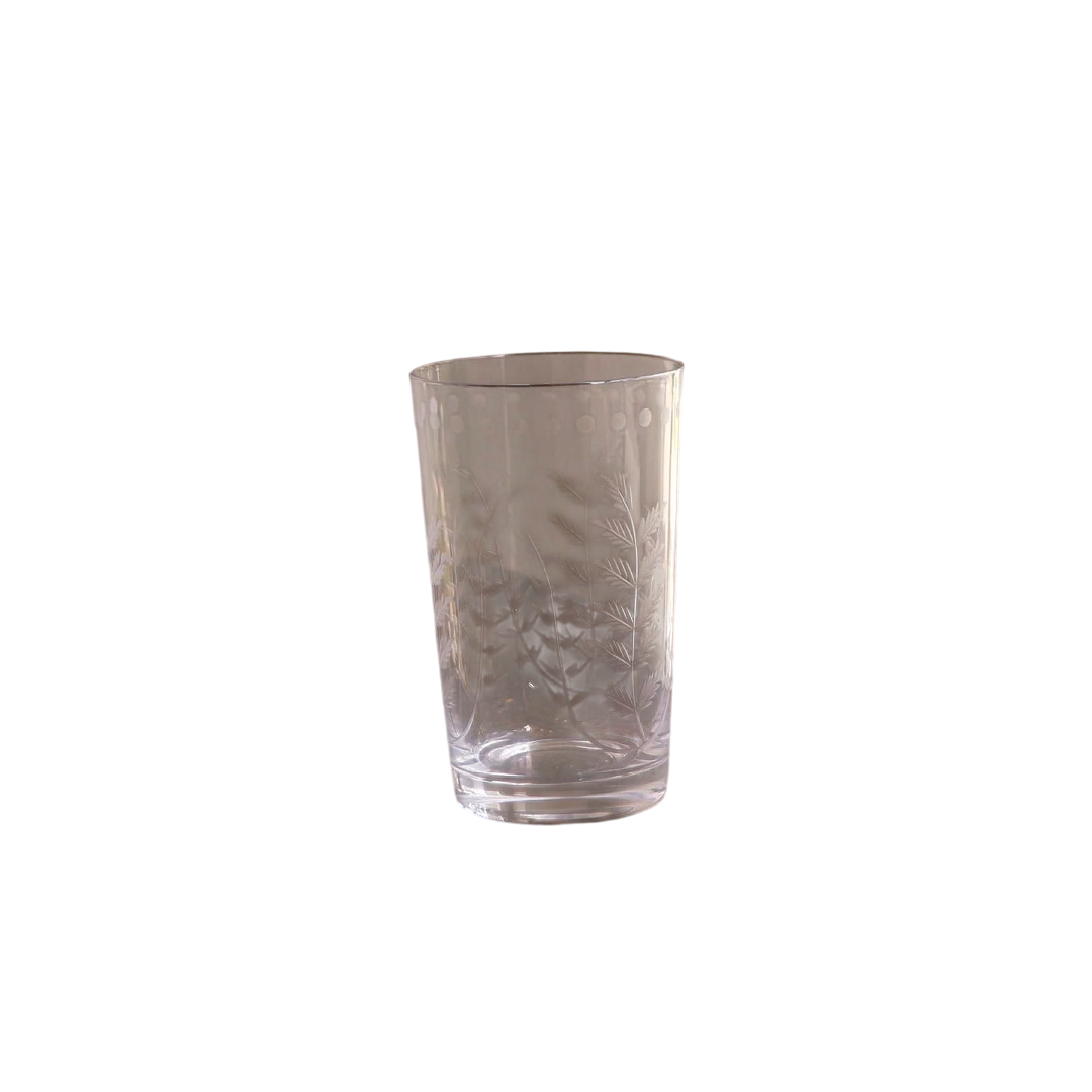 Glass Ferns with Dots Tumbler (Set of 4)