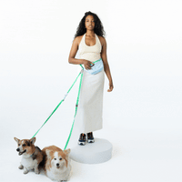 Hands-Free Dog Walking Bag with 3.25ft Leash