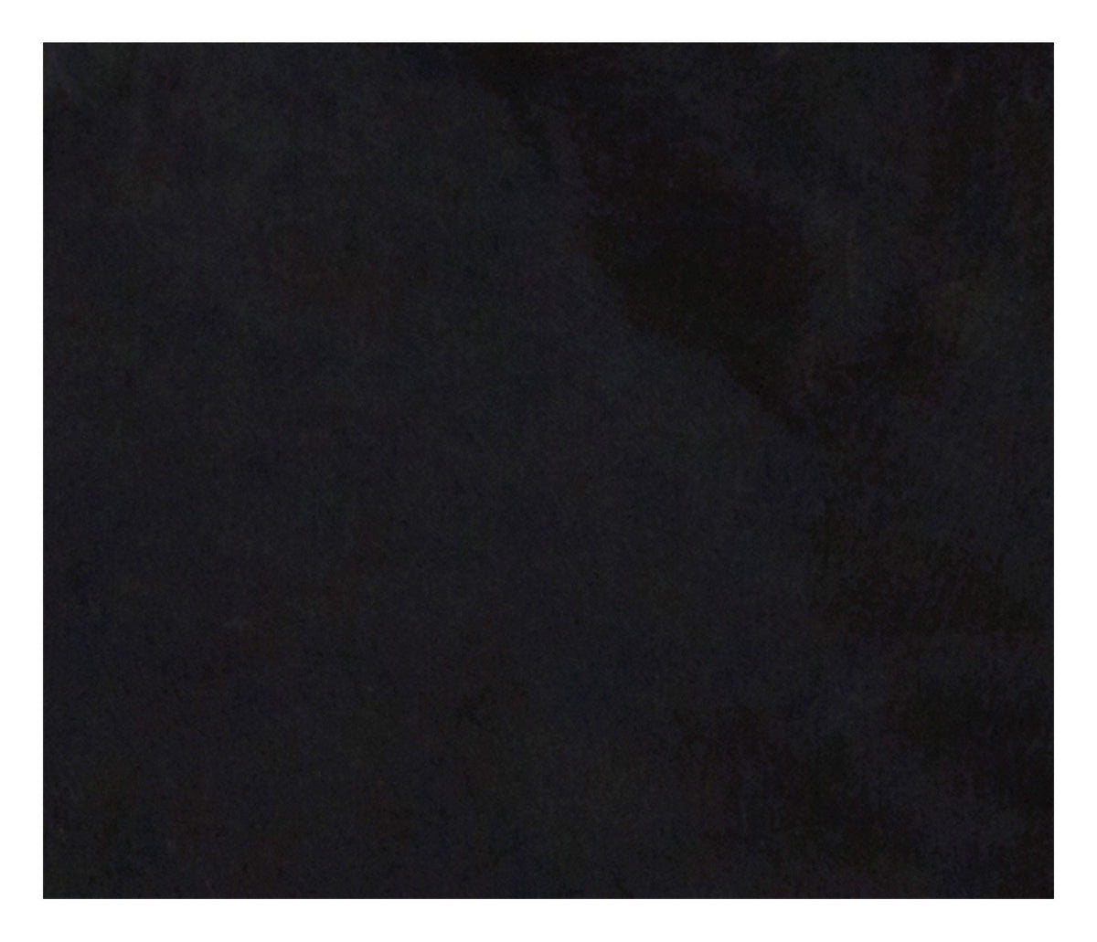 Black Cowhide
