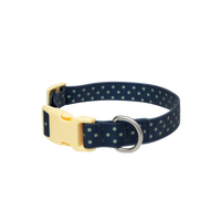 Waterproof Dog Collar
