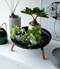 Countertop Pedestal Tray (5" H)  - Steel + Wood
