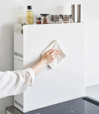 Two-Tier Sliding Drawer Seasoning Rack - Steel