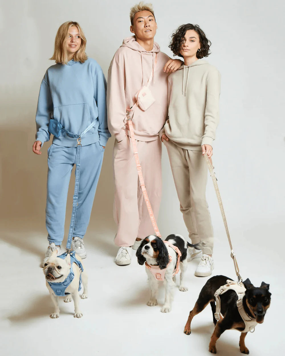 GO! With Ease Hands-Free Leash for Dogs