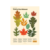 Trees of the Midwest Print
