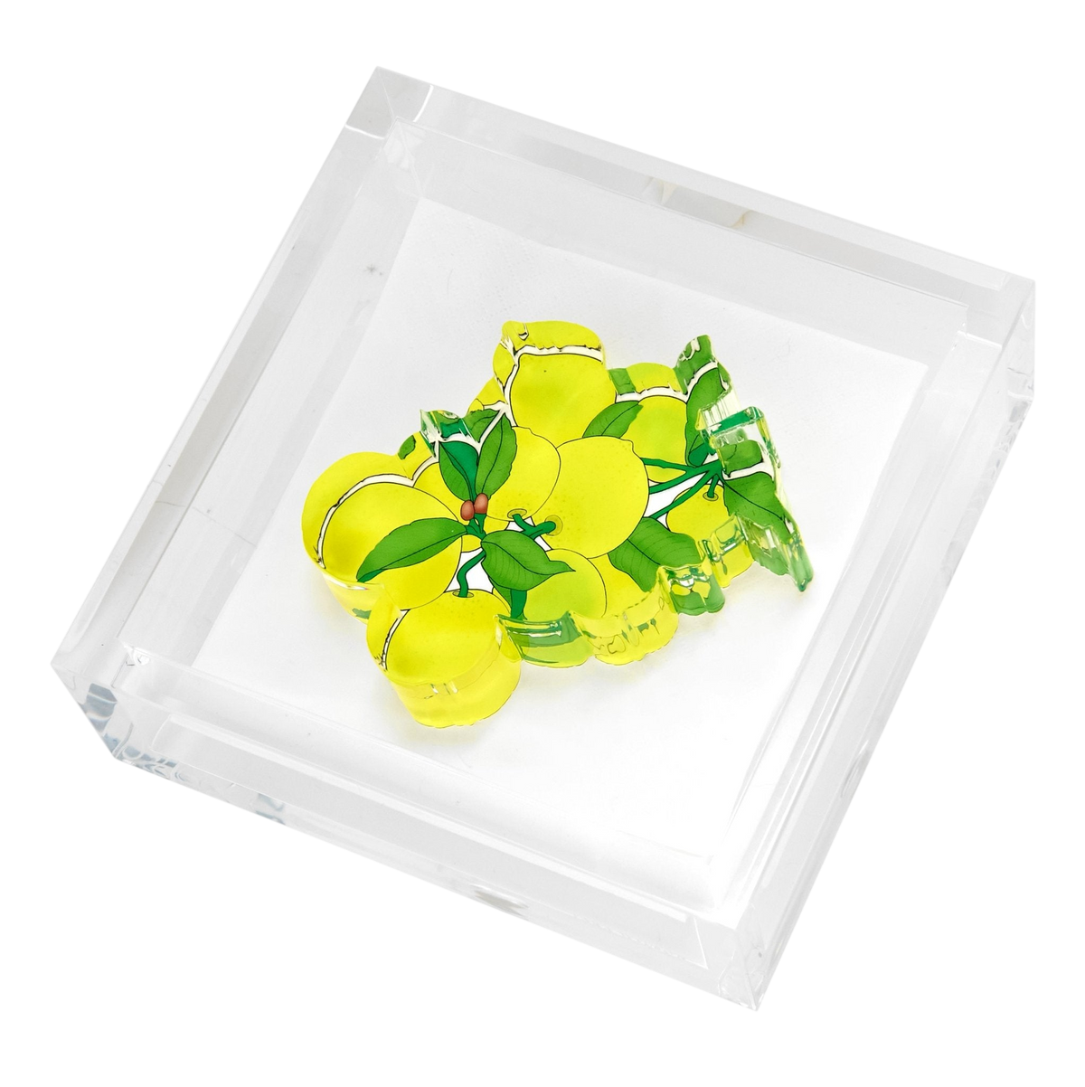 Lemons Acrylic Cocktail Napkin Holder
