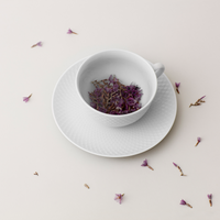Lyngby Rhombe Cup w/Saucer, Set of 2