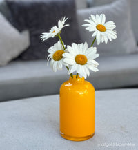 marigold bloomette
