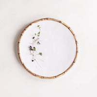 Melamine Dinner Plate (Set of 4)
