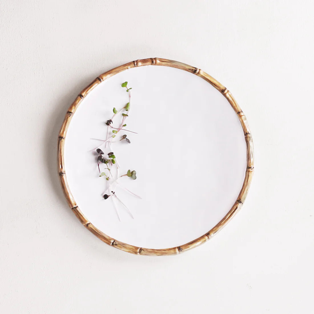 Melamine Dinner Plate (Set of 4)