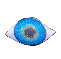 Blue Eye - Organic Cotton Sateen Pillow