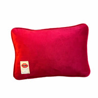 Be My Baby - Velvet Pillow