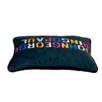John George Ringo Paul - Velvet Pillow