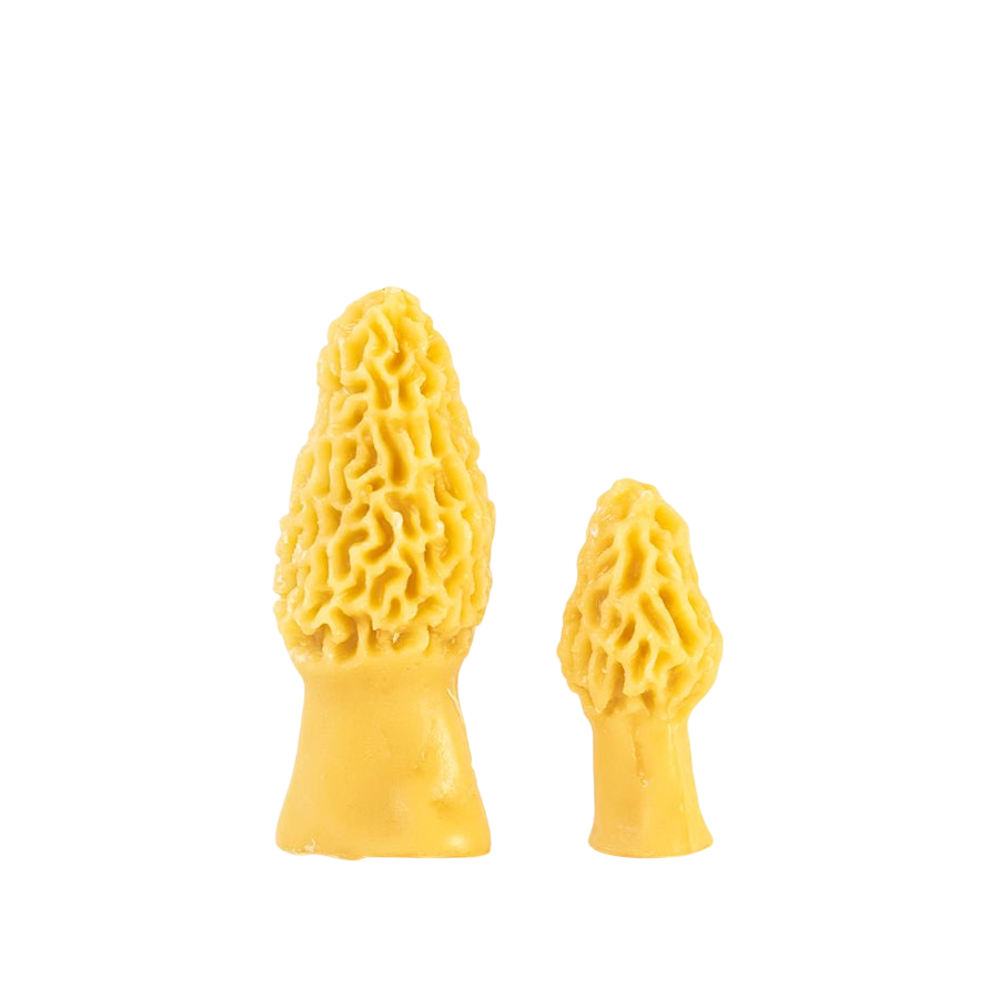 Morel Mushroom Beeswax Candle (Set of 2)