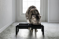Pet Food Bowl - Tall - Steel + Ceramic